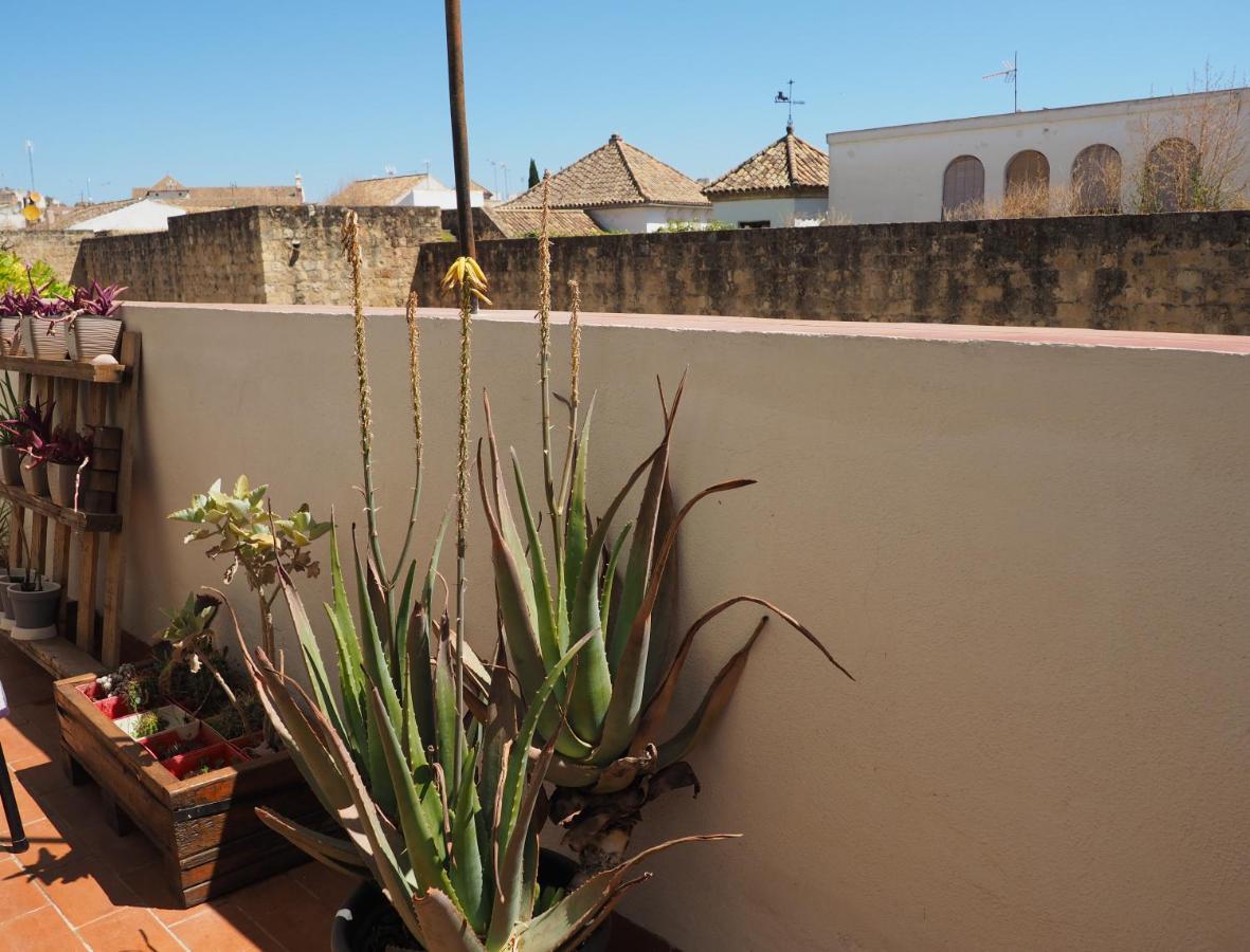 Apartamento En Juderia La Murallita Κόρδοβα Εξωτερικό φωτογραφία